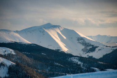 Dağlardaki kış ağaçları taze karla kaplıdır.