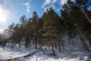 Bulut ile mavi gökyüzüne bakarak