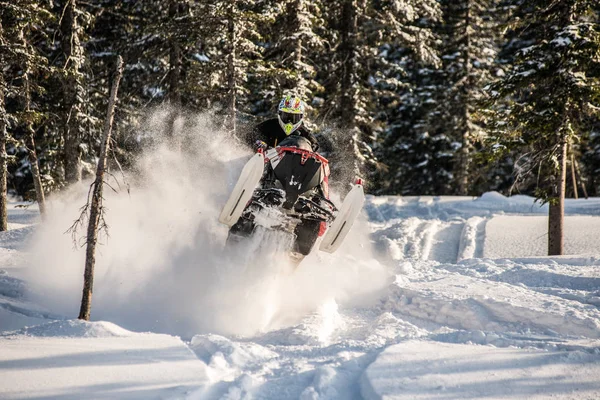 Jinete en la moto de nieve en las montañas. unidad activa — Foto de Stock
