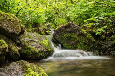 Şelale manzara nehir