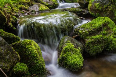 Şelale manzara nehir