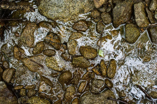 Stones and rocks under stream water — Stock Photo, Image