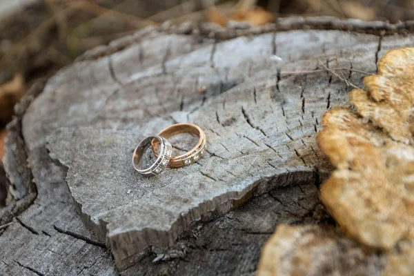 Alyans açık havada ağaç arka plan üzerinde