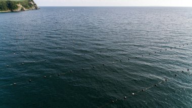 Midye grubundan hava ateş Üstten Görünüm