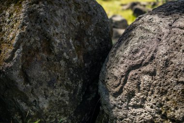 Antik taş resmin Sikhote-Alin, Habarovsk, Rusya Federasyonu bulunur