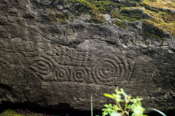 Antiguo Petroglifo se encuentra en el Sijote-Alin, Jabárovsk, Rusia — Foto de Stock
