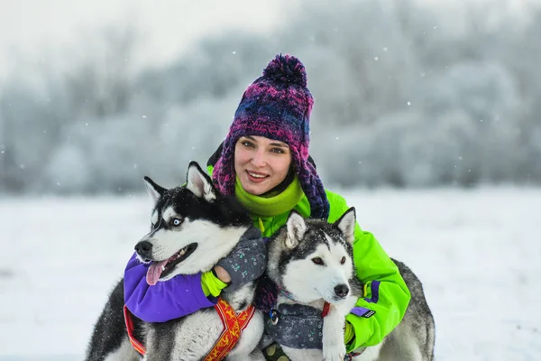 Siberian Husky closeup. Beautiful girl with husky. winter — Stock Photo, Image