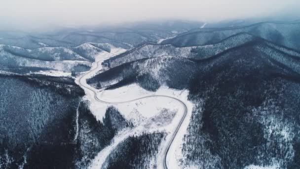 Winter landweg in het besneeuwde bos, luchtfoto van drone — Stockvideo
