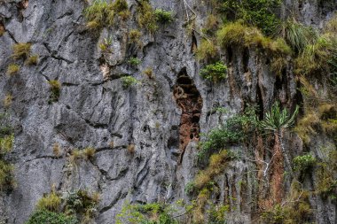 Tayland James Bond taş ada, Phang Nga