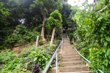 Andaman Denizi, Phuket Krabi, Koh Phi Phi Don Güney Tayland.
