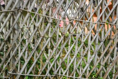 Bambu duvar arka plan kafes kafes kahverengi hakiki