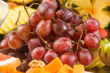 Peynir, meyve ve çerez ürün yelpazesine tatil için