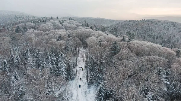 Vue aérienne d'une forêt hivernale de pins enneigés. Texture de forêt hivernale . — Photo