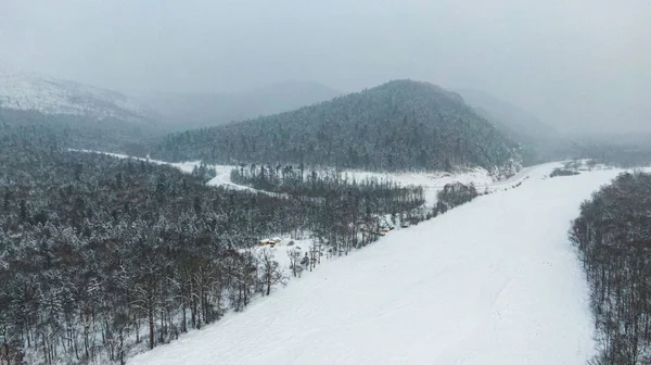 Imagen aérea desde la cima de los pinos nevados de montaña en medio del invierno —  Fotos de Stock