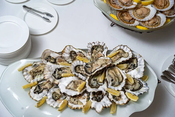 Färskt öppet ostron på en vit tallrik. i restaurangen förrätt — Stockfoto