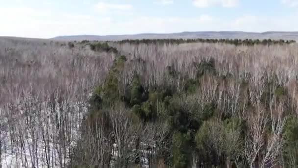 Vista superior del bosque de invierno, tiro con drones, vista superior de los árboles, bosque ruso — Vídeos de Stock