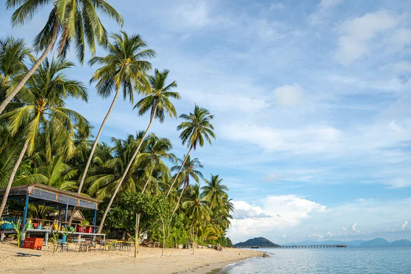 Stock image house on the beach near palm trees with a view of the sandy beach