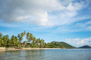 Gök mavisi denizin kumlu kıyıları. Dalgalar ve salıncaklı palmiye ağaçları.