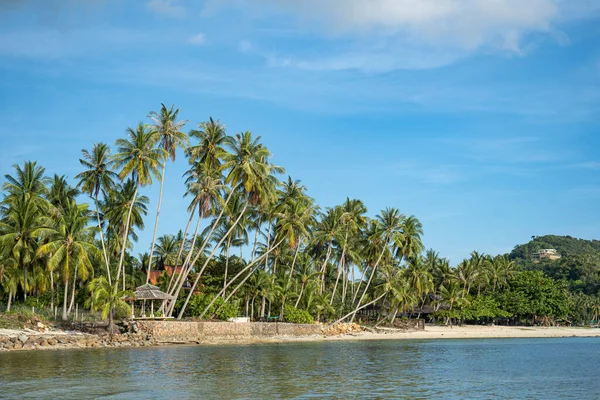 As margens arenosas do mar azul. Ondas e palmeira com balanço . — Fotografia de Stock