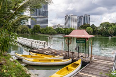 Lumpini Park, Bangkok, Tayland 'daki göl ve modern binaların manzarası