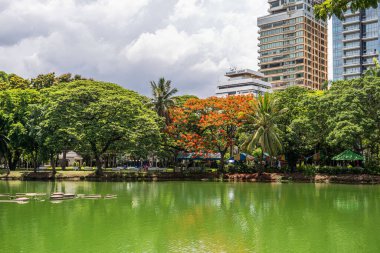 Lumpini Park, Bangkok, Tayland 'daki göl ve modern binaların manzarası