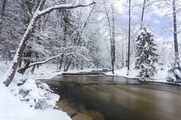 Poland - Roztocze, winter — Stock Photo, Image