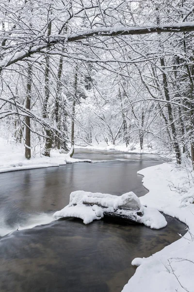 Poland - Roztocze, winter — Stock Photo, Image
