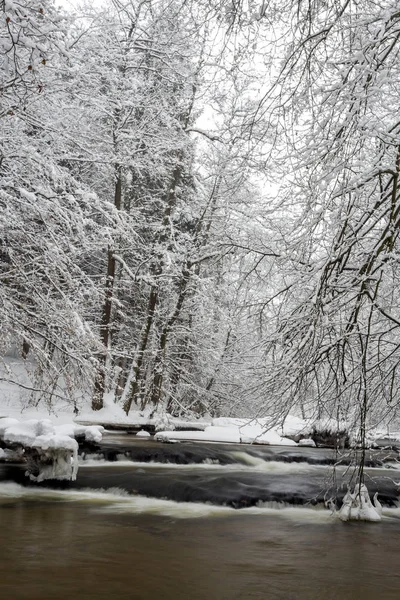 Poland - Roztocze, winter — Stock Photo, Image