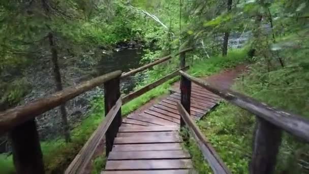 Discesa Lungo Scale Legno Fiume Nel Forest River — Video Stock