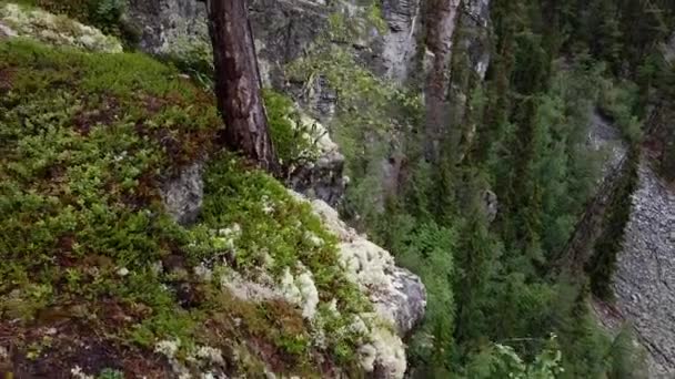 Birinci Şahıs Kameralı Bir Kişi Kayanın Üzerindeki Büyük Bir Geçide — Stok video