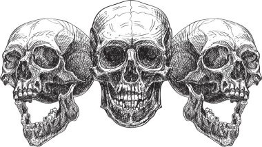 Basık üç kafatası