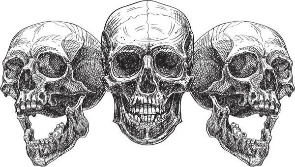 Basık üç kafatası