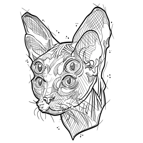 Optyczna Iluzja Kot Stylu Szkicowym Wektor Stockowy