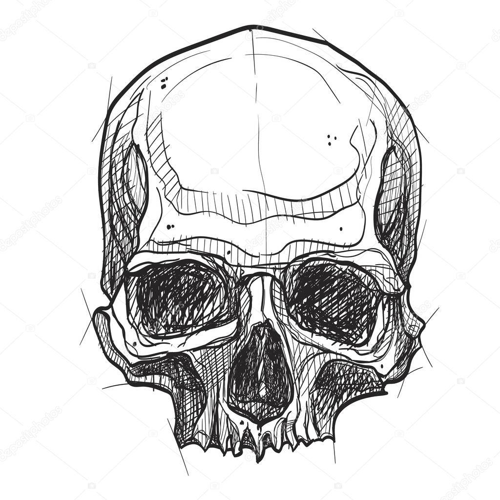 Vintage skull in sketch style for tattoo