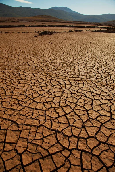 Terra di siccità incrinata — Foto Stock