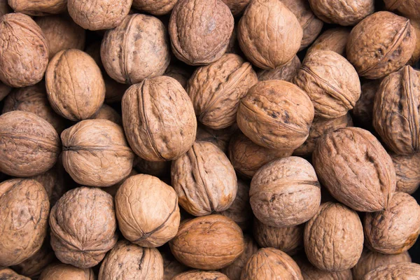 Whole walnut shells — 스톡 사진