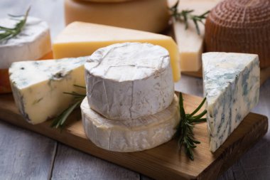 Yıllanmış peynir yuvarlak ve dilimler