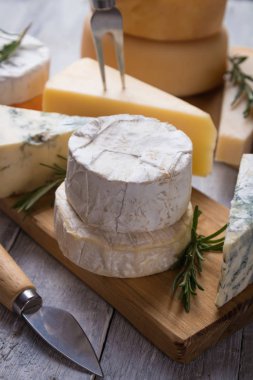 Yıllanmış peynir yuvarlak ve dilimler
