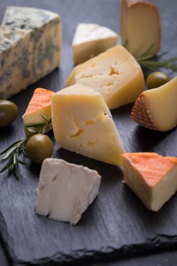 Yıllanmış peynir yuvarlak ve dilimler