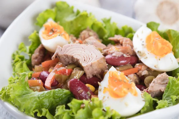 Ensalada de atún con verduras — Foto de Stock