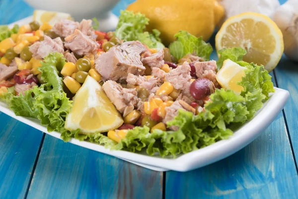 Salada de atum com legumes — Fotografia de Stock