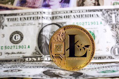 litecoin bir dolar
