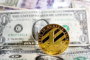 litecoin bir dolar