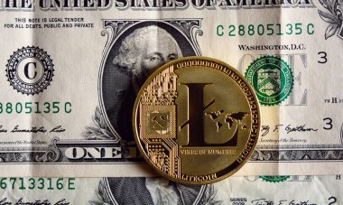 litecoin bir dolar