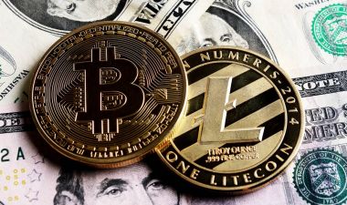 Bitcoin ve Litecoin Doları banknot üzerinde.