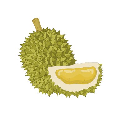 Durian bütünü ve kes