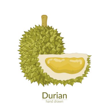 Durian bütünü ve kes