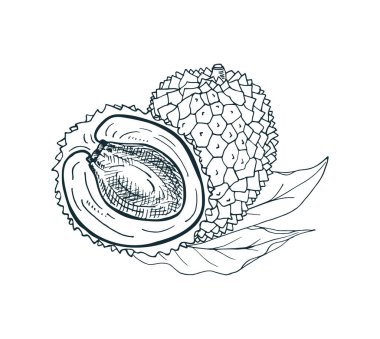 Meyveli ve yapraklı likör..