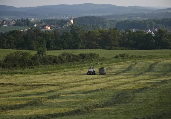 Hasat çim sahada mows