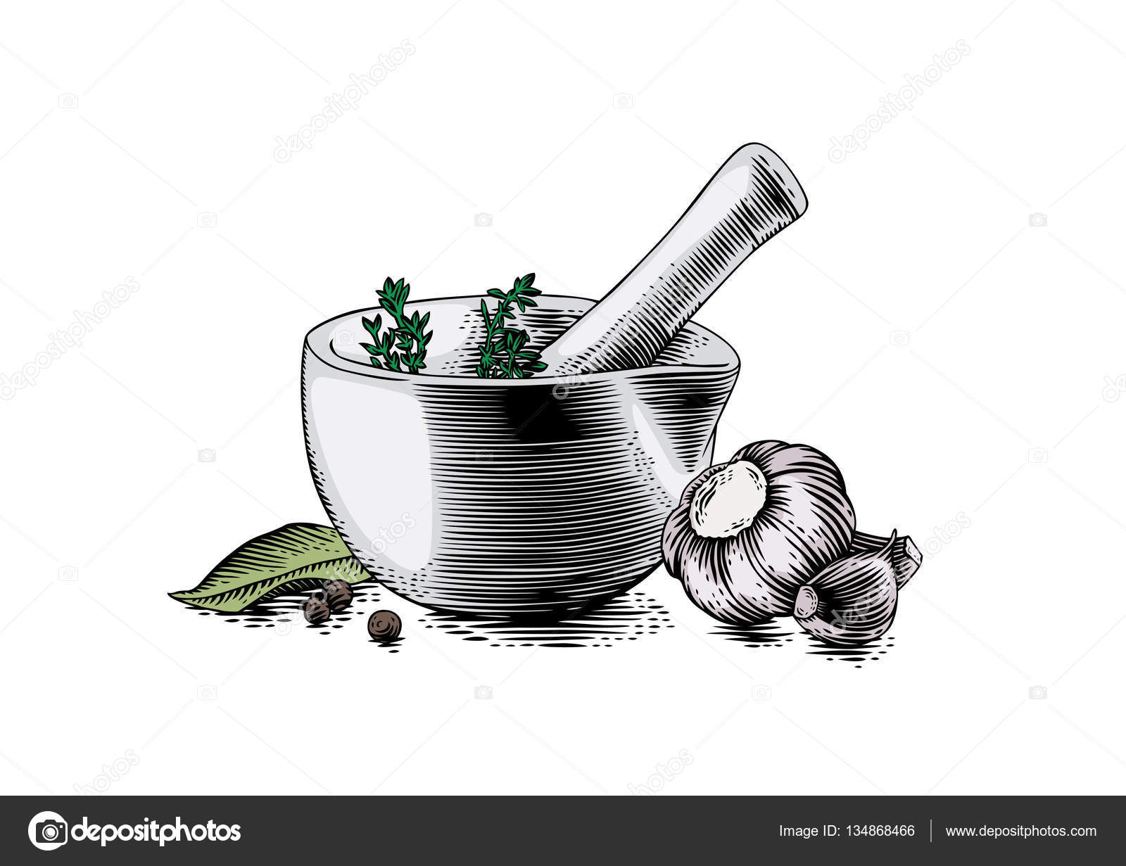 Mortar bowl and pestle with spice, herb and garlic — Stock Vector ... for Mortar And Pestle Drawing
55nar Mortar bowl and pestle with spice, herb and garlic — Stock Vector ... for Mortar And Pestle Drawing
55nar